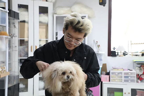 五十岁学点啥技术比较实用