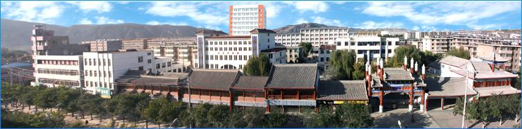 职业培训