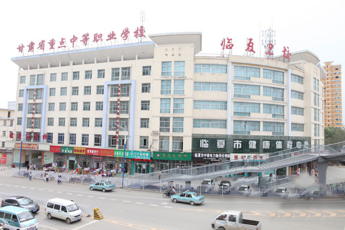 职业培训
