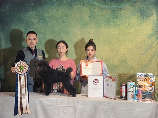 黄美婷：女生学宠物美容真的挺不错