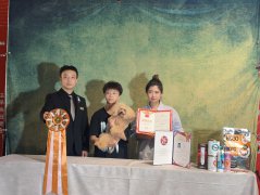 李丹  宠物学生