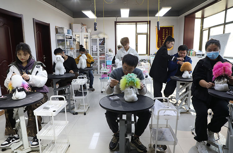 宠物美容实操教学