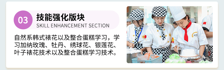 技能强化板块