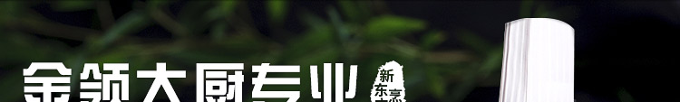 川菜金领大厨专业banner1