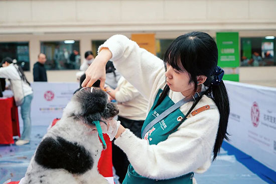 2026初高中成绩不好怎么办？职校也能上大学，烹饪成就精彩人生