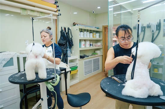 不上初三能上技校吗