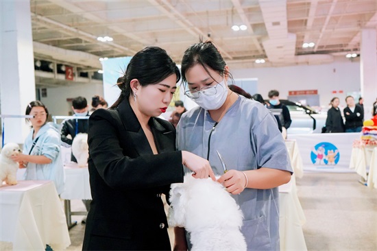 现在应该让自己学点什么提升自己赚钱