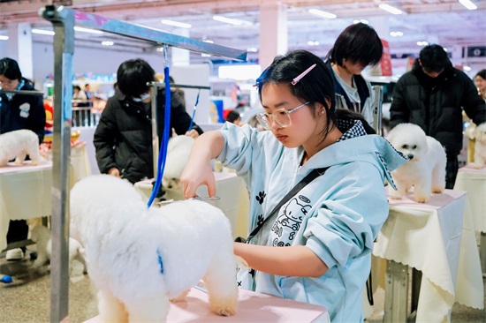 宠物美容师证怎么考
