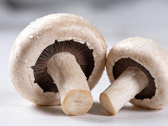 口蘑有哪些家常做法